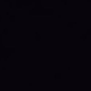 Meet your Posher, Dee